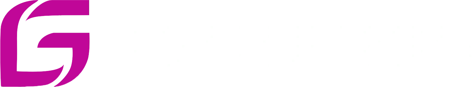 Tectignis-IT-solution-logo