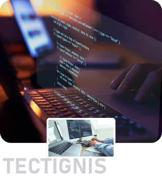 ERP Development